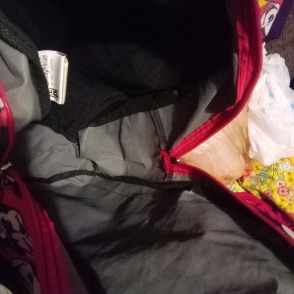 Walt Disney world Disney parks backpack - Picture 3 of 8